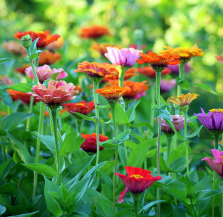 <strong><span class="NormalTextRun SCXW199085135 BCX8">WALTON HALL & GARDENS</span></strong>