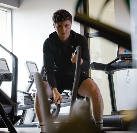 <strong>MEMBER LOG IN</strong>