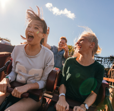 <strong><span class="NormalTextRun SCXW78840235 BCX8">ALTON TOWERS</span></strong>