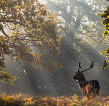 Keyinformation Desktop 01