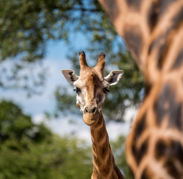 Keyinformation Desktop 01 2